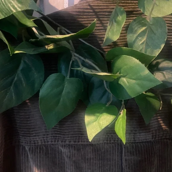 American Eagle Olive Corduroy Button-Up Shacket - Picture 4 of 6